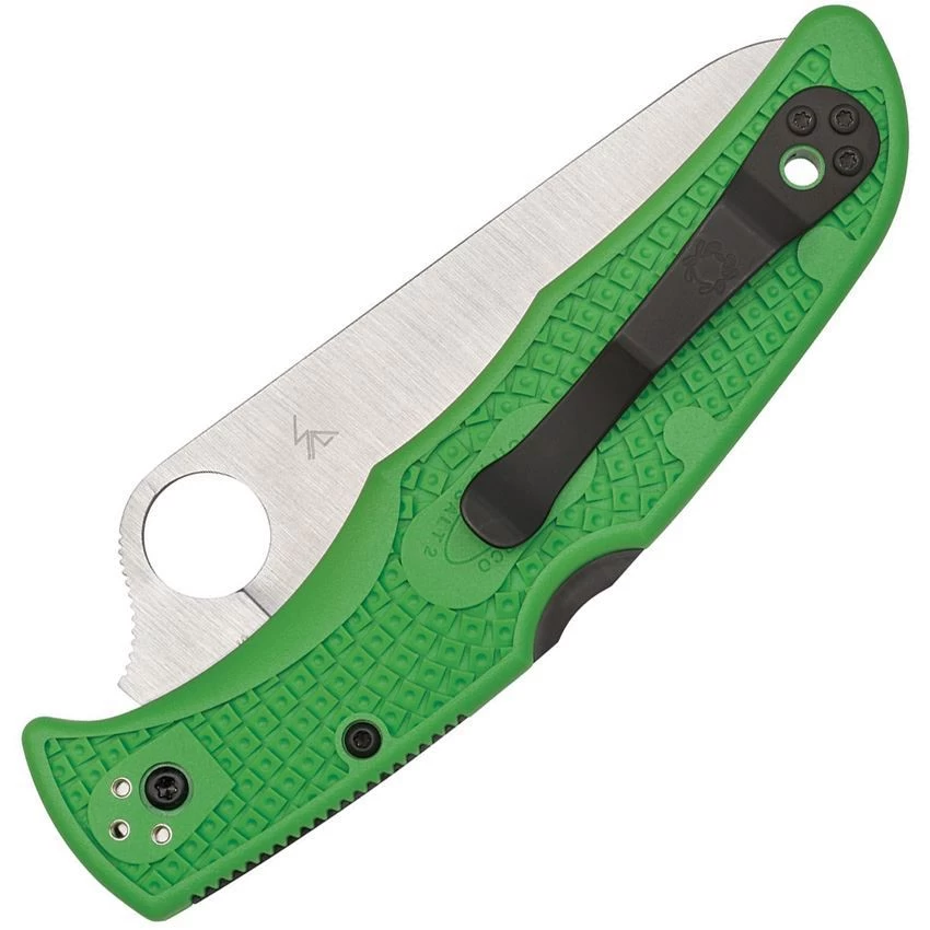 Spyderco 91FPGR2 Pacific Salt 2 Lockback Green - Image 2