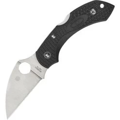 Spyderco Knives 28FPWCBK2 Dragonfly 2 Lockback Knife