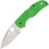Spyderco 41PGR5 Native 5 Salt Lockback Green